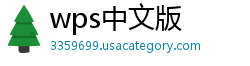 wps中文版